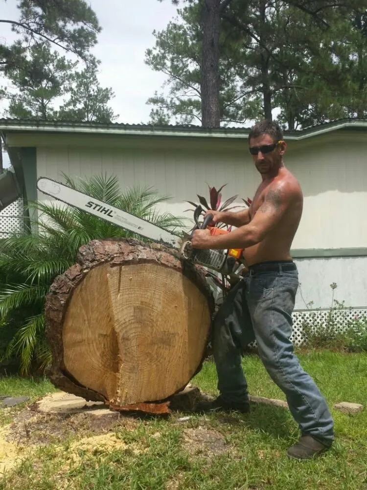 Top-rated landscape design experts serving Dunnellon, FL - Tarzans Lumberjack Service