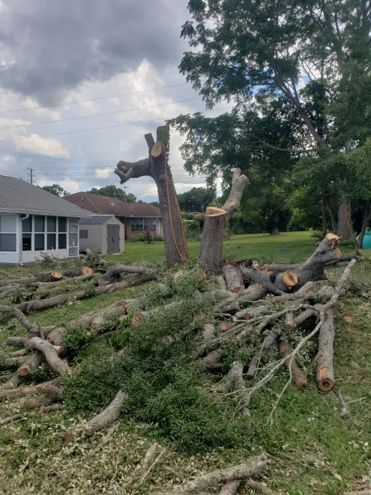 Expert yard cleanup service near you in Dunnellon, FL by Tarzans Lumberjack Service