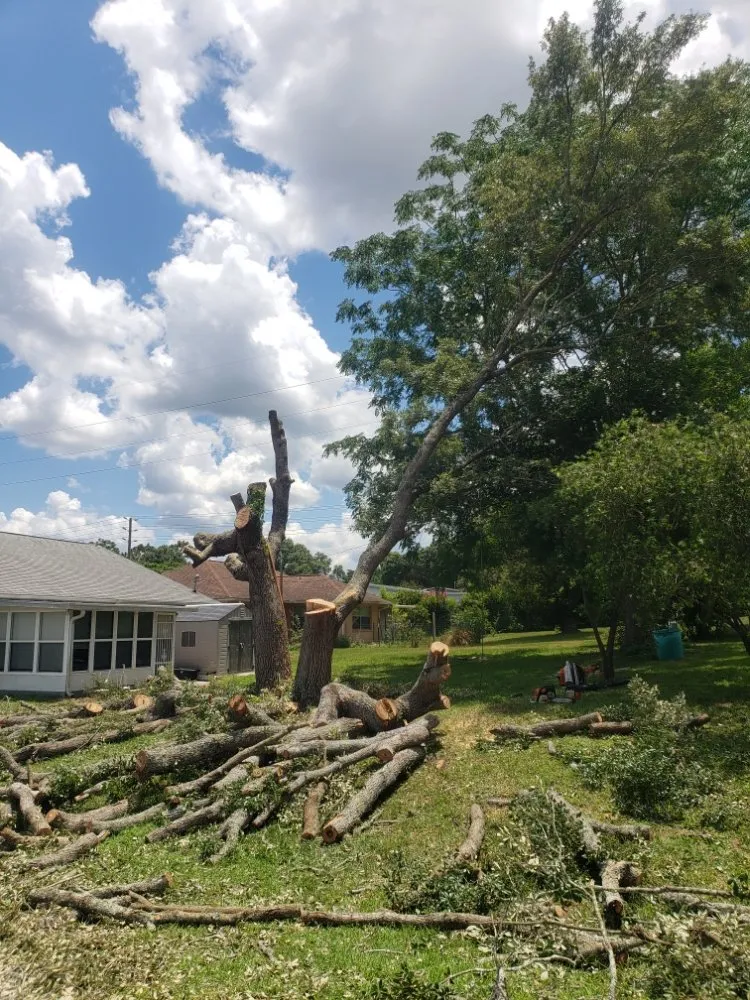 Trusted outdoor landscaping in Dunnellon, FL - Tarzans Lumberjack Service