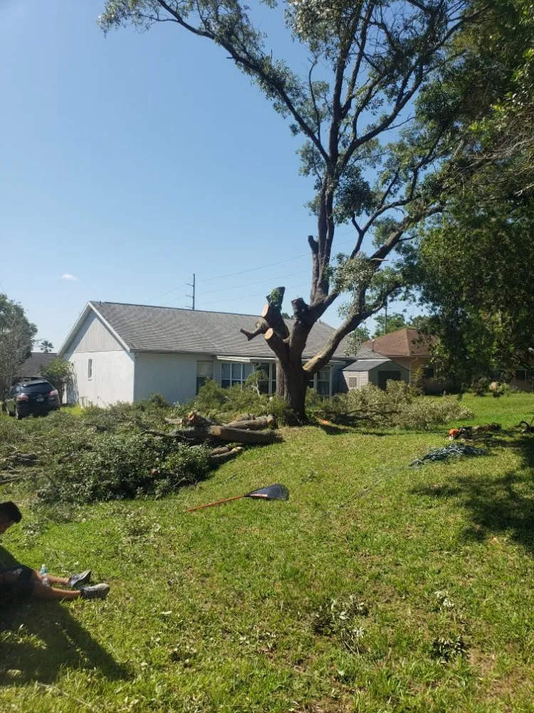 Top-rated lawn care service experts serving Dunnellon, FL - Tarzans Lumberjack Service