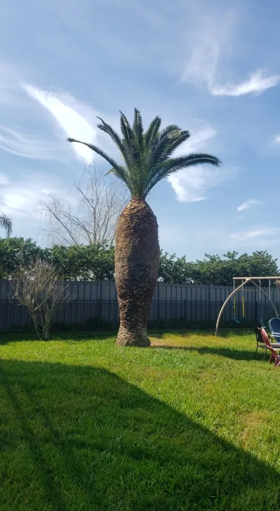 Affordable garden landscaping experts serving Dunnellon, FL - Tarzans Lumberjack Service