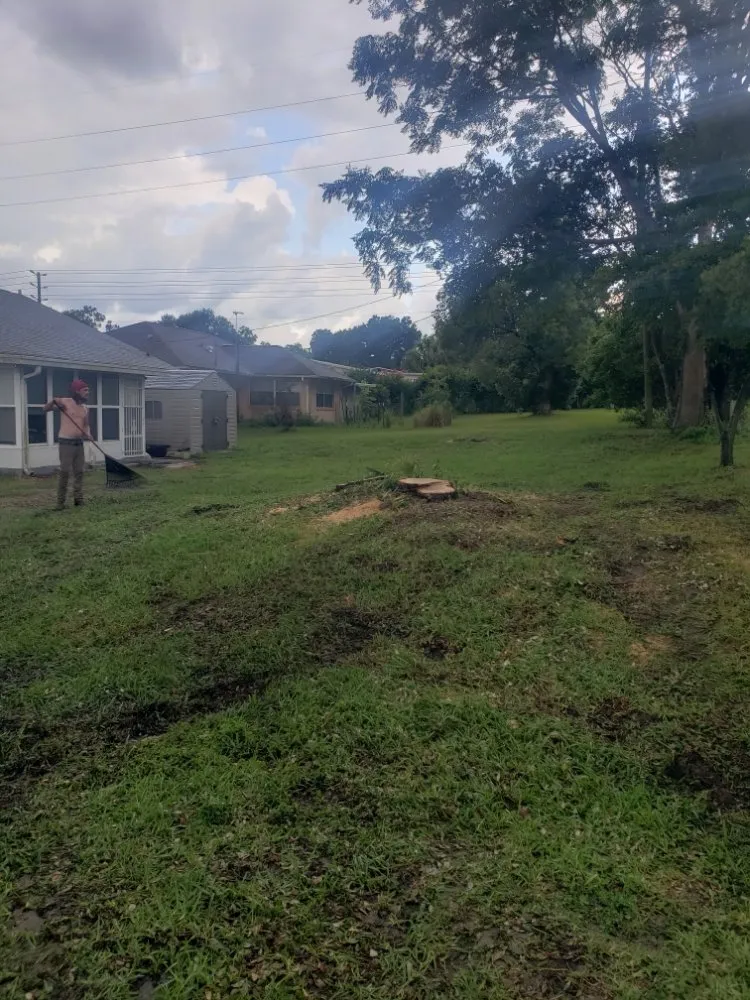 Top-rated residential landscaping in Dunnellon, FL by Tarzans Lumberjack Service