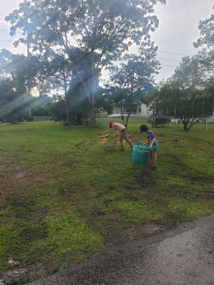 Affordable yard maintenance near you in Dunnellon, FL by Tarzans Lumberjack Service