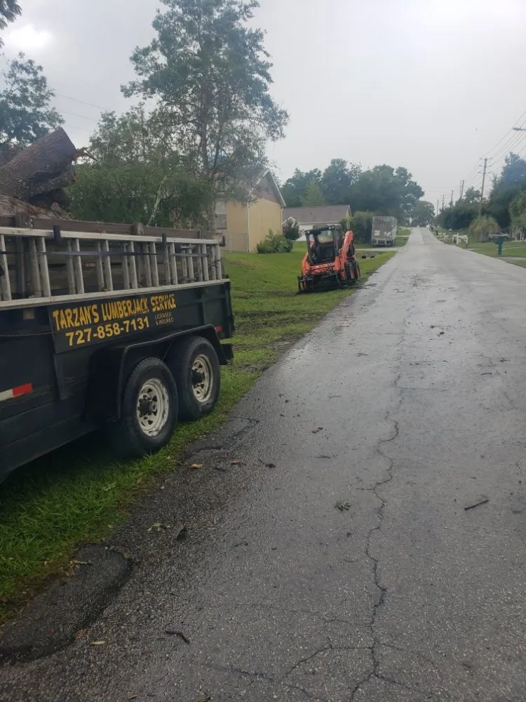 Local yard maintenance for beautiful yards in Dunnellon, FL by Tarzans Lumberjack Service