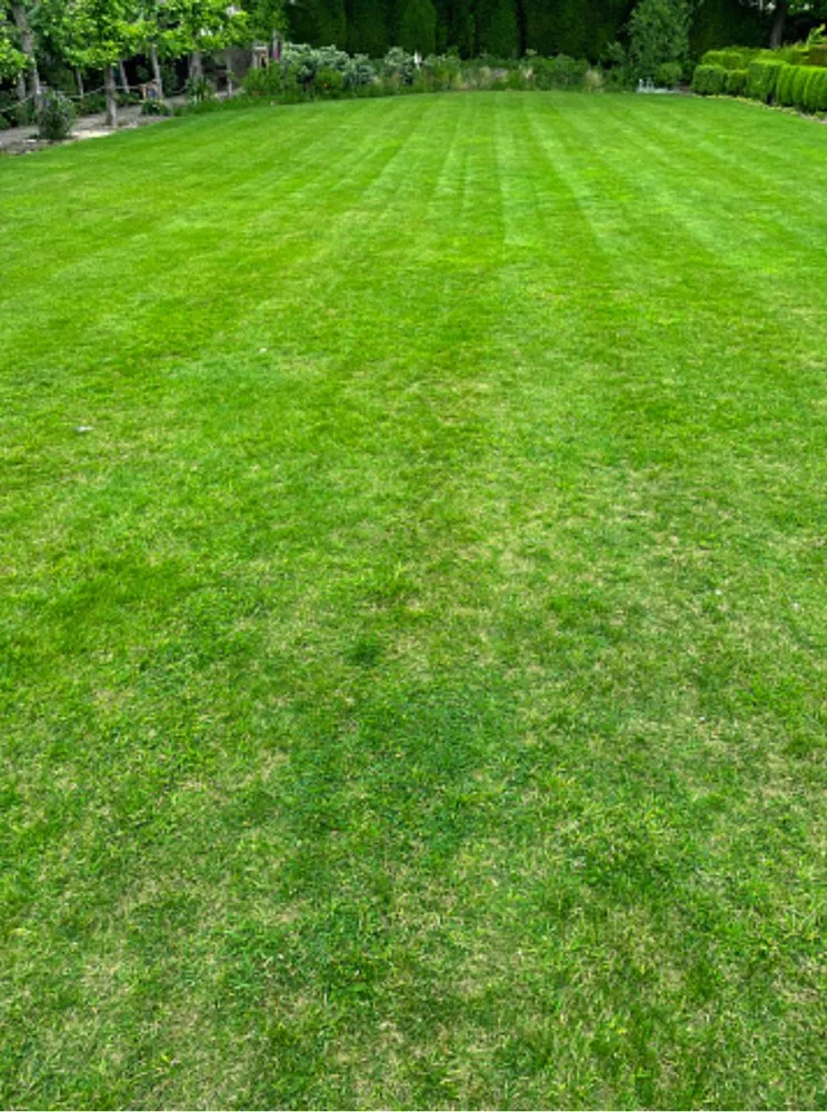 Affordable lawn care service experts serving Lone Jack, MO - TAS Lawncare and Landscaping