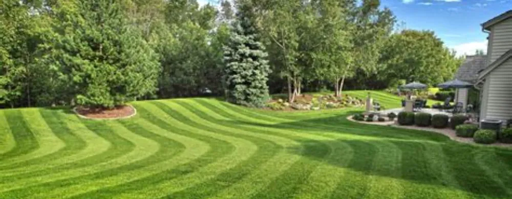 Top-rated yard maintenance experts serving Lone Jack, MO - TAS Lawncare and Landscaping