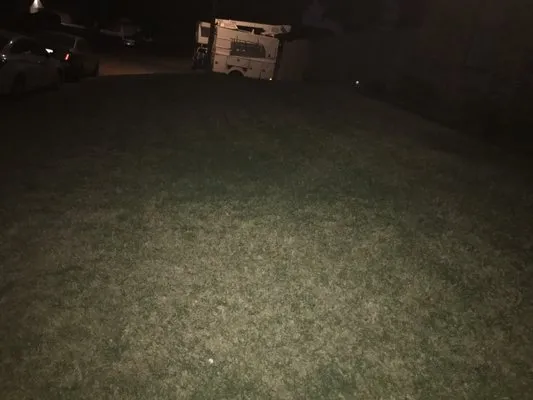 Tashardgrass Service Logo