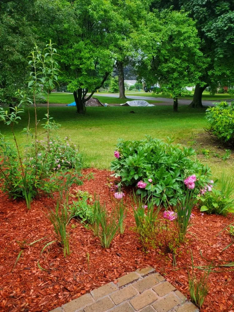 Local residential landscaping experts serving Rochester, NY - Task Assassinz