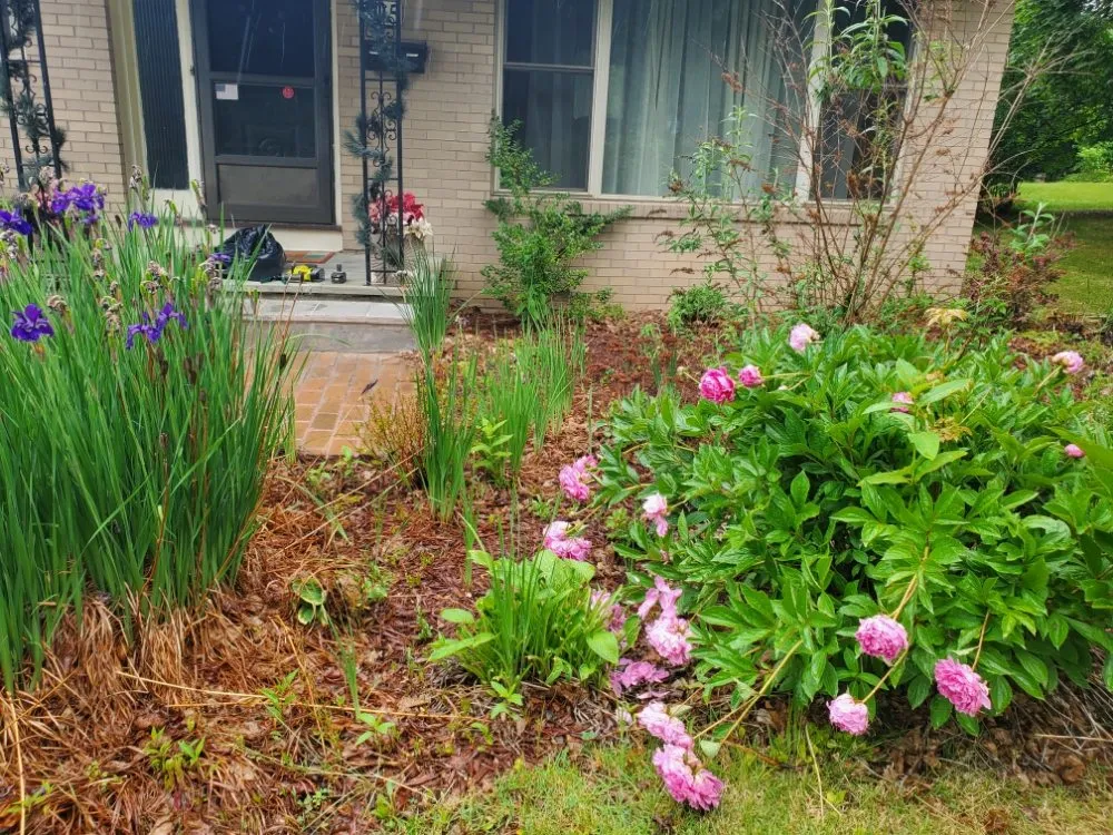 Top-rated garden landscaping in Rochester, NY by Task Assassinz