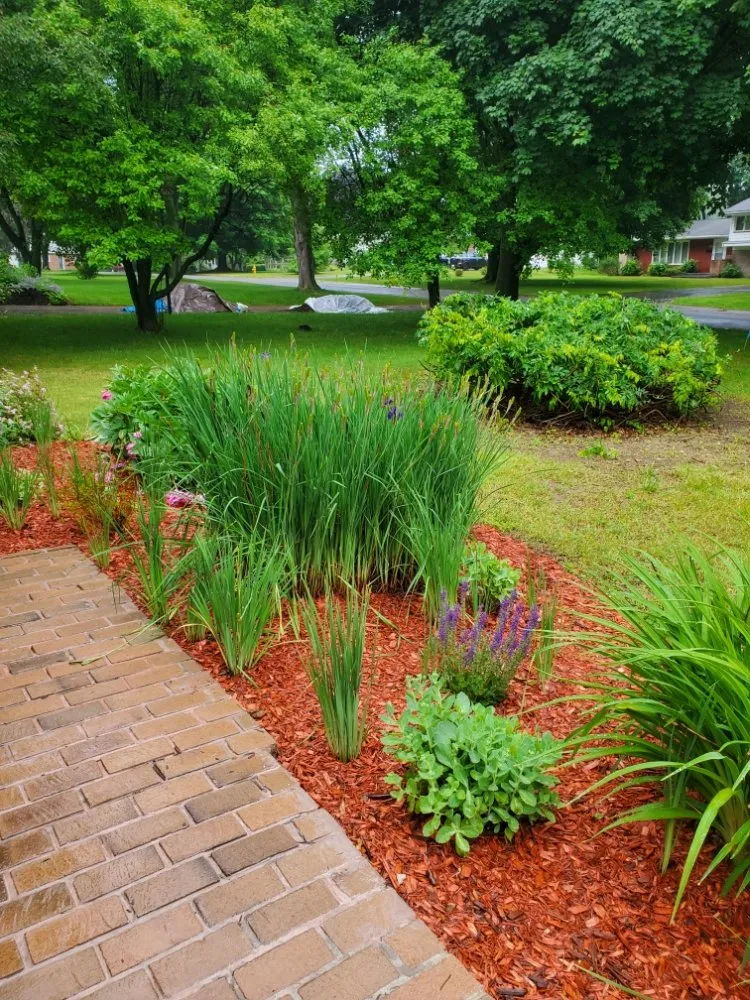 Reliable landscaping services for residential properties across Rochester, NY - Task Assassinz