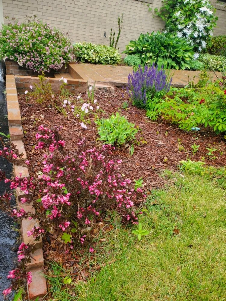 Professional yard cleanup service for outdoor upgrades across Rochester, NY - Task Assassinz