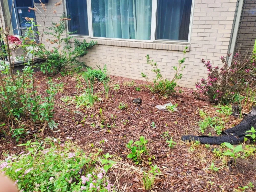 Local landscape installation for homes across Rochester, NY - Task Assassinz