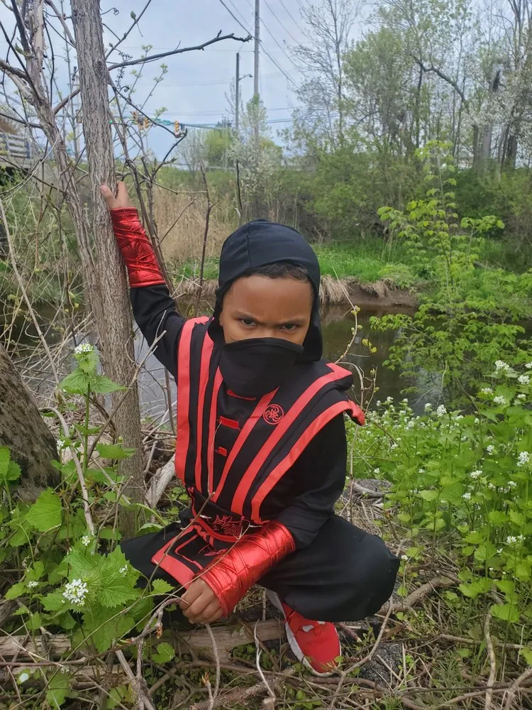 Custom landscape design for beautiful yards in Rochester, NY by Task Assassinz