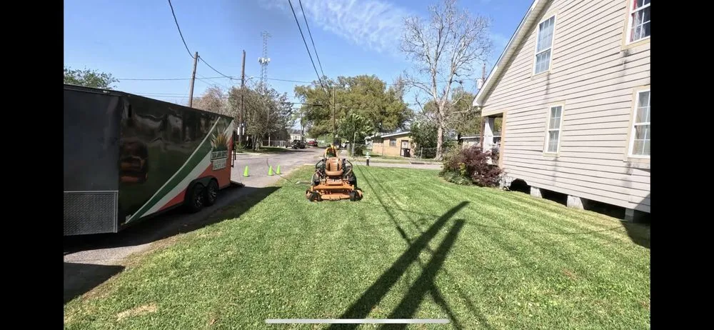 Expert yard cleanup service for outdoor upgrades across Harvey, LA - Task Lawn Service