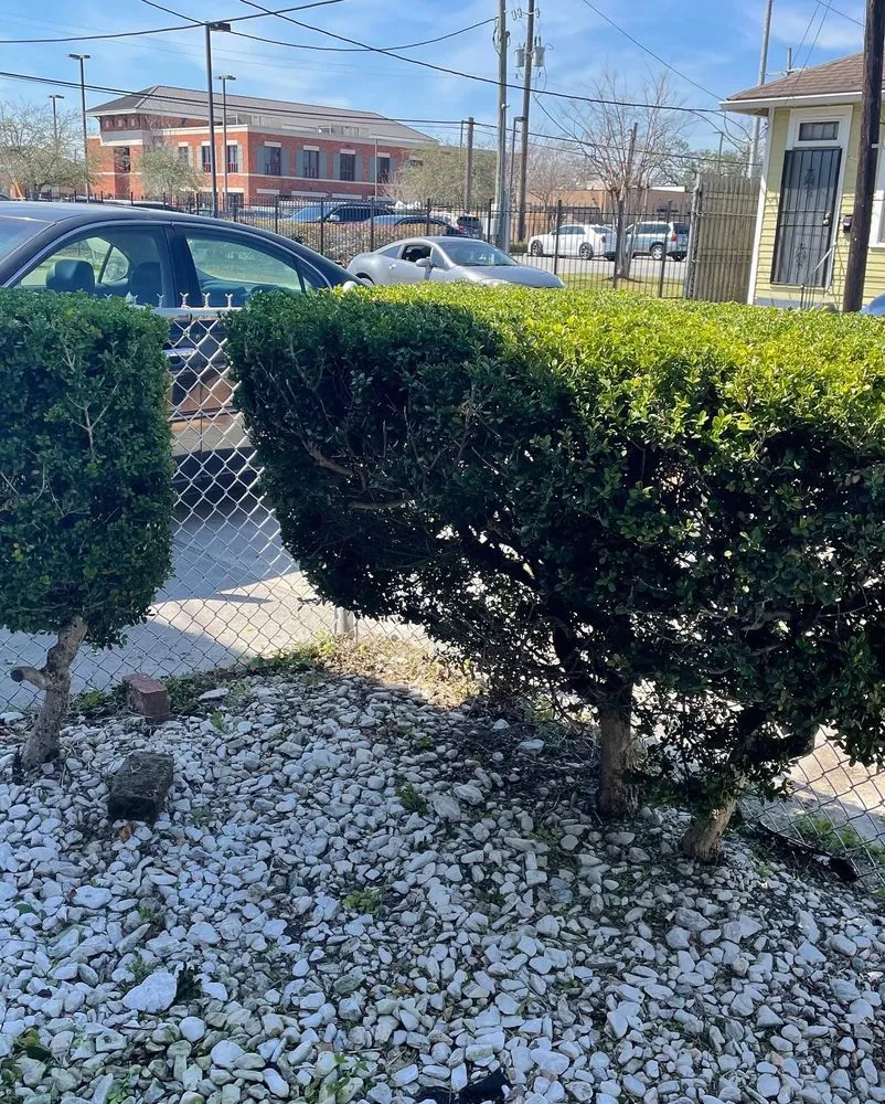 Professional lawn care service experts serving Harvey, LA - Task Lawn Service