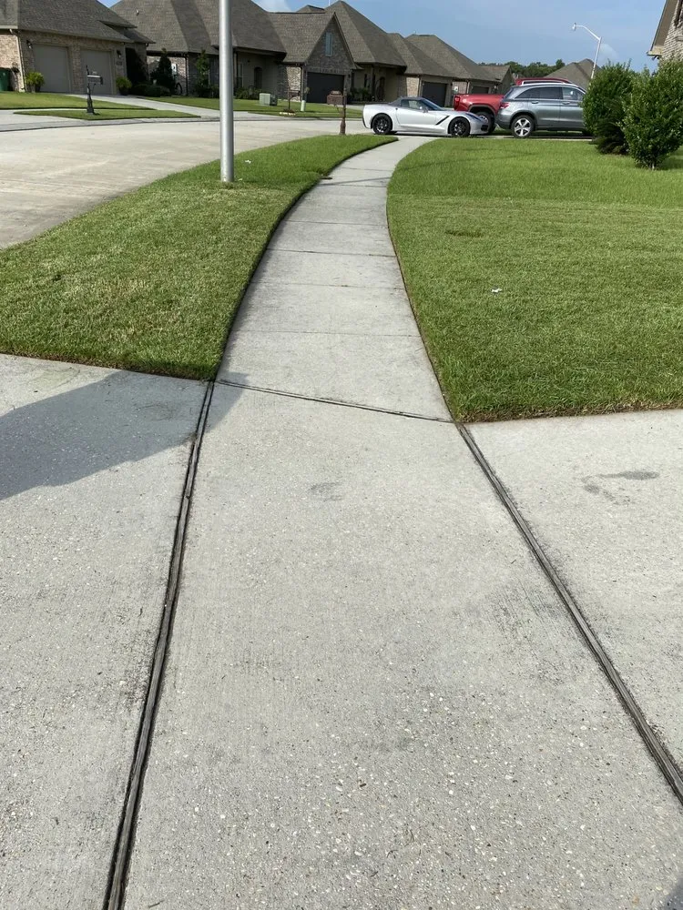 Professional yard cleanup service for homes across Harvey, LA - Task Lawn Service