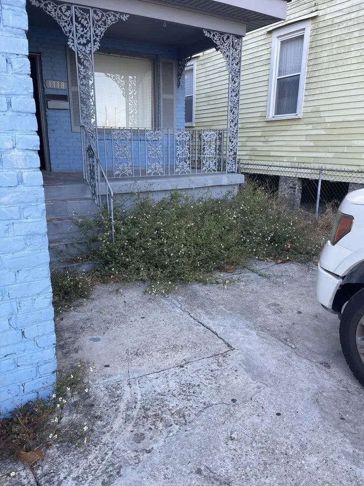 Affordable lawn mowing service in Harvey, LA by Task Lawn Service