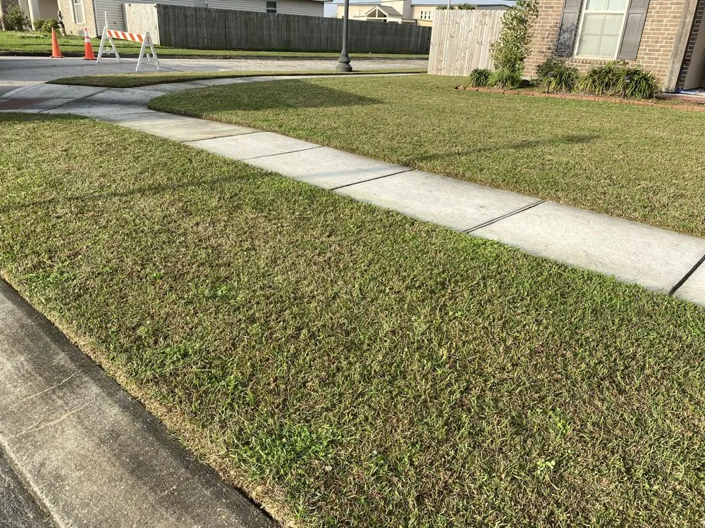 Professional landscape design in Harvey, LA - Task Lawn Service