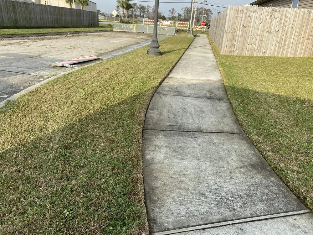Trusted yard cleanup service experts serving Harvey, LA - Task Lawn Service