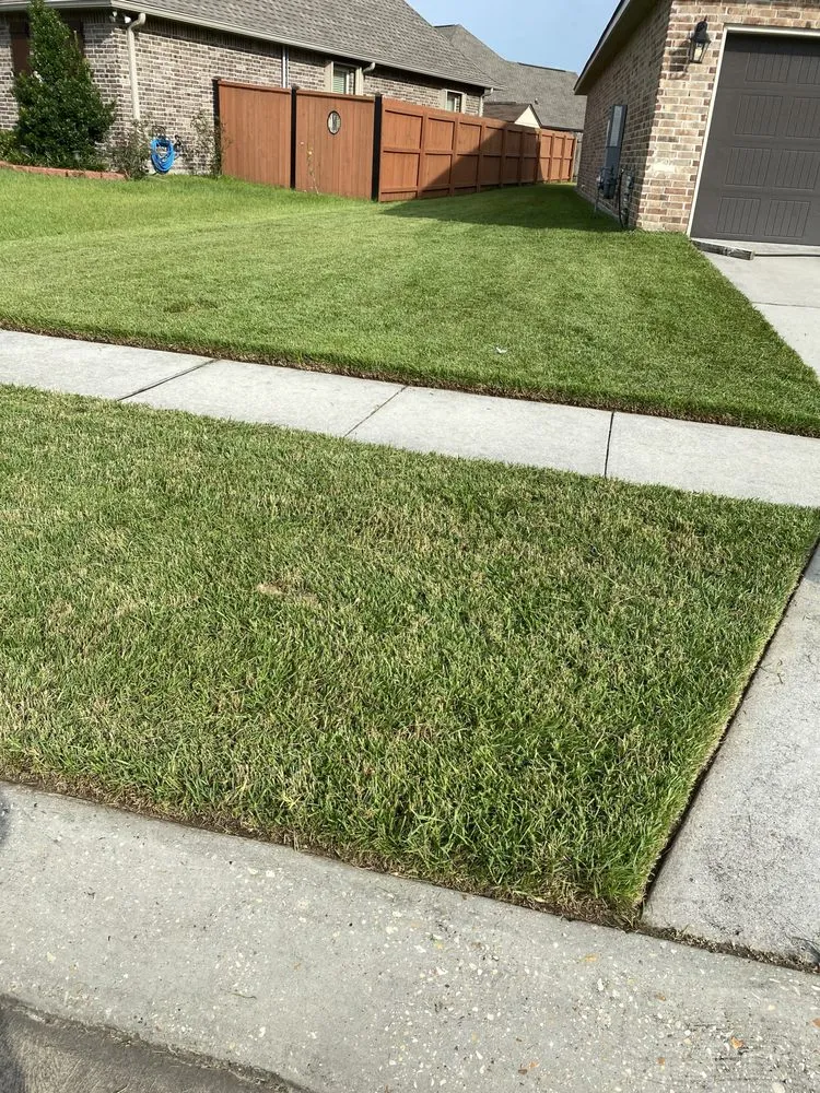 Affordable lawn mowing service in Harvey, LA by Task Lawn Service
