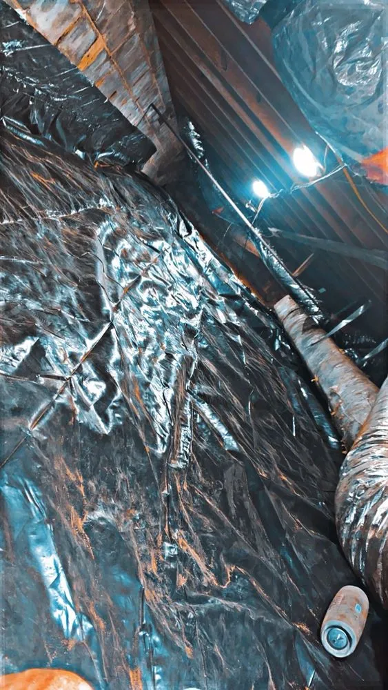 Custom lawn mowing service in Monroe, GA - Task pros