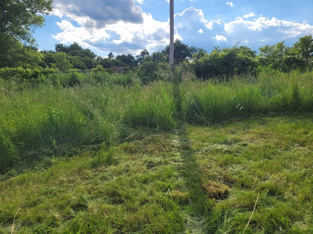 Reliable landscape design in Hudson, WI by Task Tackler