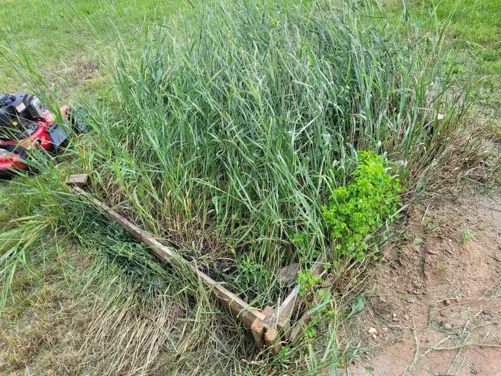 Professional landscape installation for year-round maintenance in Hudson, WI by Task Tackler