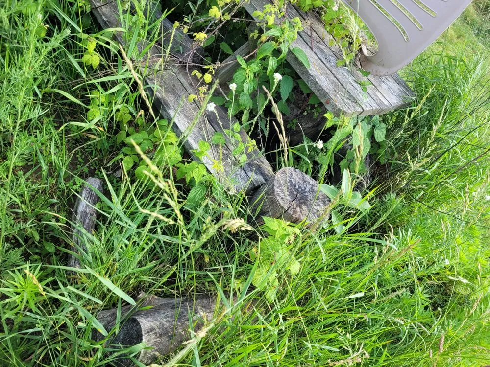 Reliable landscape installation experts serving Hudson, WI - Task Tackler