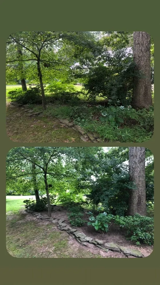 Top-rated landscaping services in Lincoln, DE by Task Us Anything
