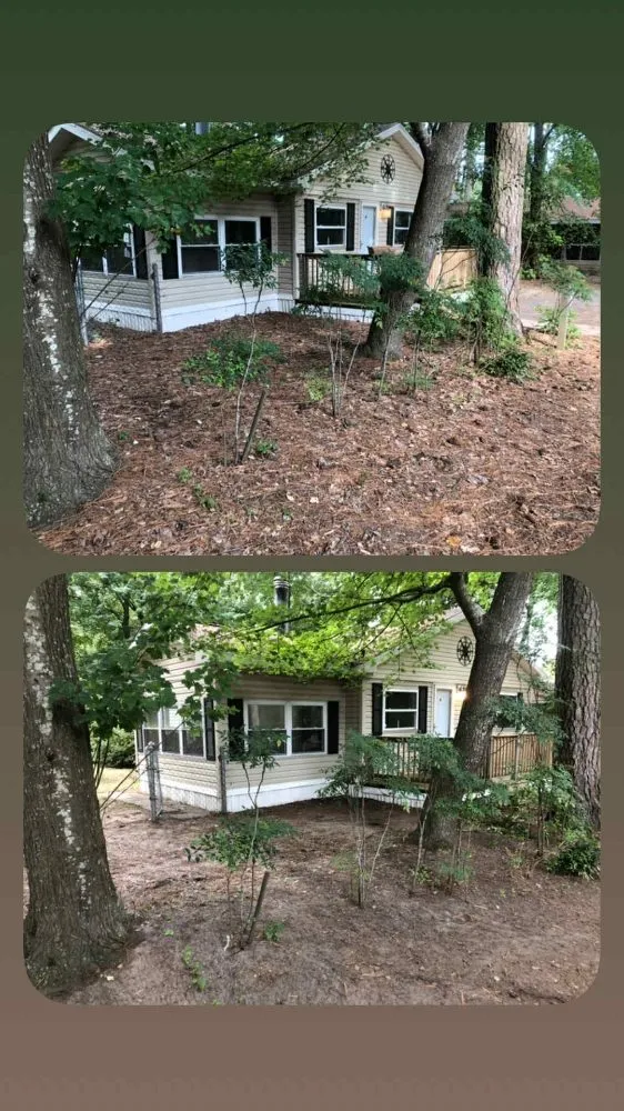 Professional yard maintenance for outdoor upgrades in Lincoln, DE by Task Us Anything