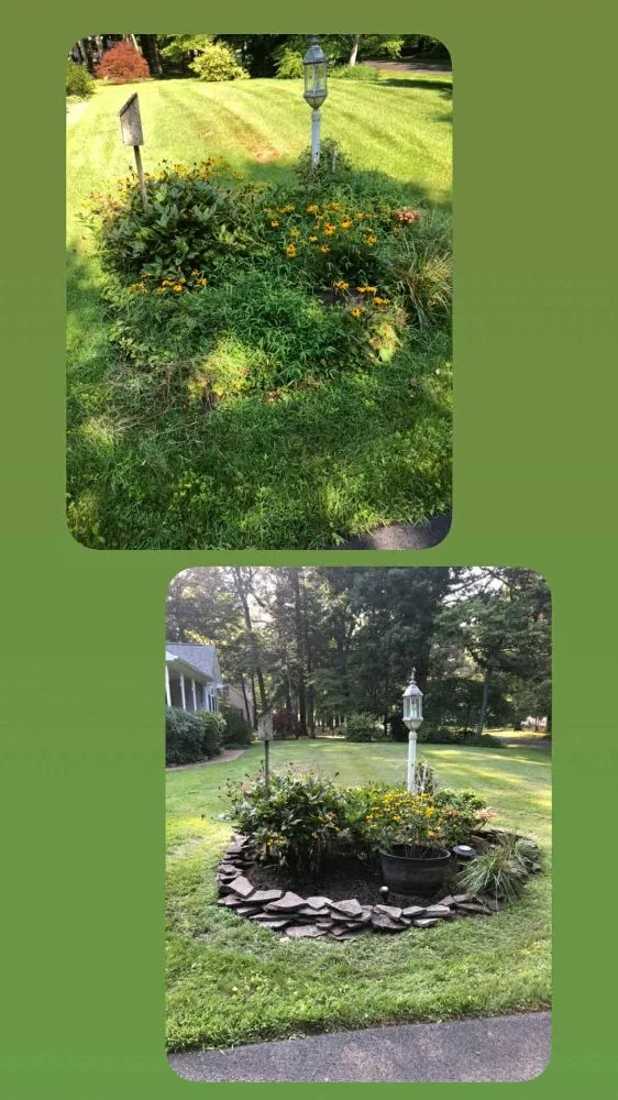 Trusted yard maintenance near you in Lincoln, DE by Task Us Anything