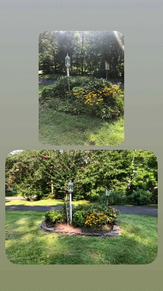 Local lawn care service for outdoor upgrades across Lincoln, DE - Task Us Anything