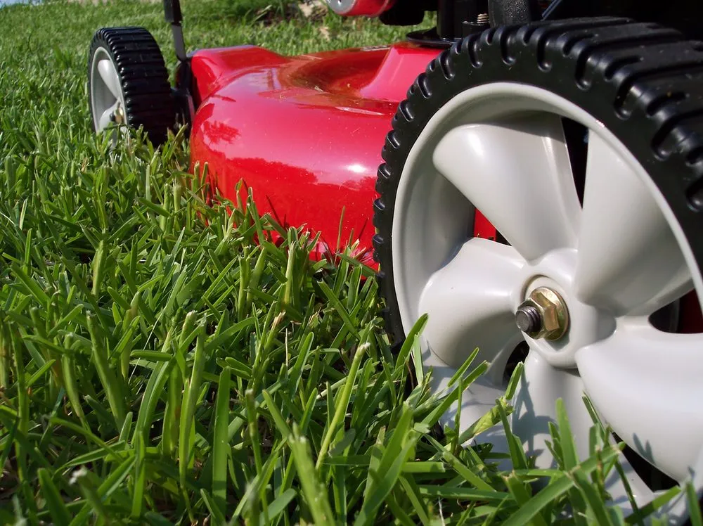 Affordable lawn care service near you in Holmdel, NJ by TaskEasy by Workwave