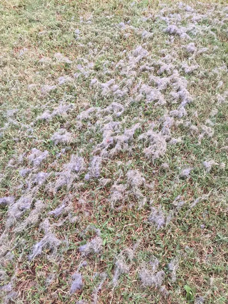 Custom landscape installation experts serving Holmdel, NJ - TaskEasy by Workwave