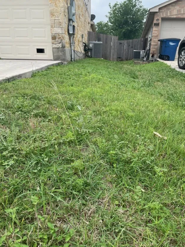 Local landscape design experts serving Holmdel, NJ - TaskEasy by Workwave