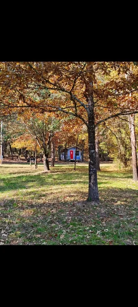 Trusted lawn mowing service in Batesville, AR - Taskers Lawn Care