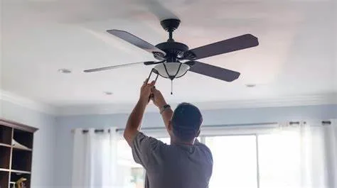 Trusted yard cleanup service for year-round maintenance in Missoula, MT by TaskMasters