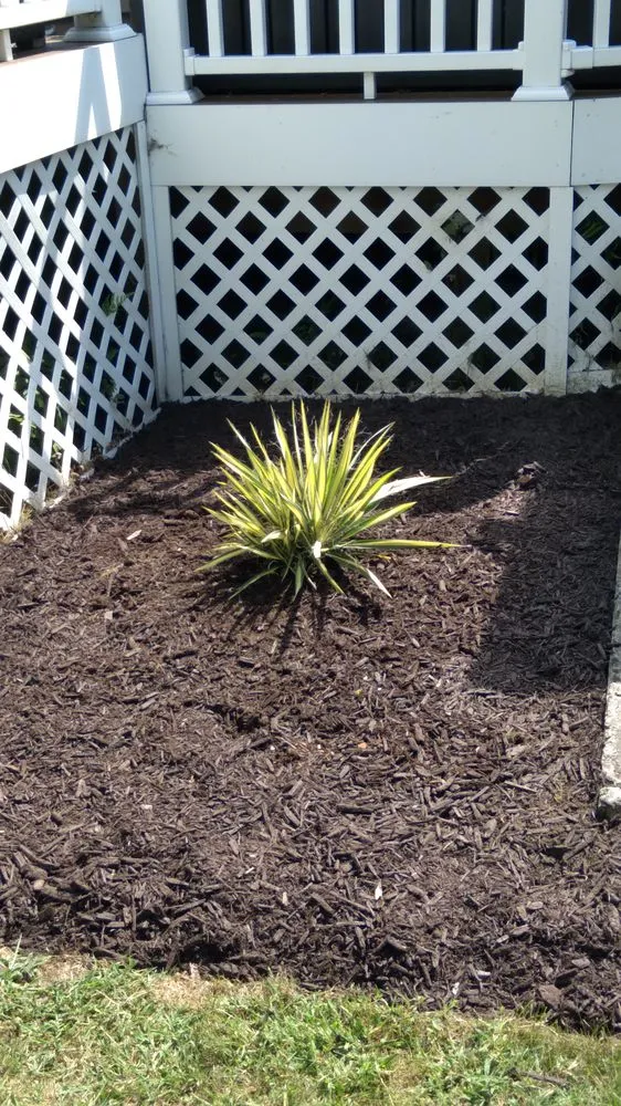 Top-rated outdoor landscaping in Mount Cobb, PA by Tasks At Hand