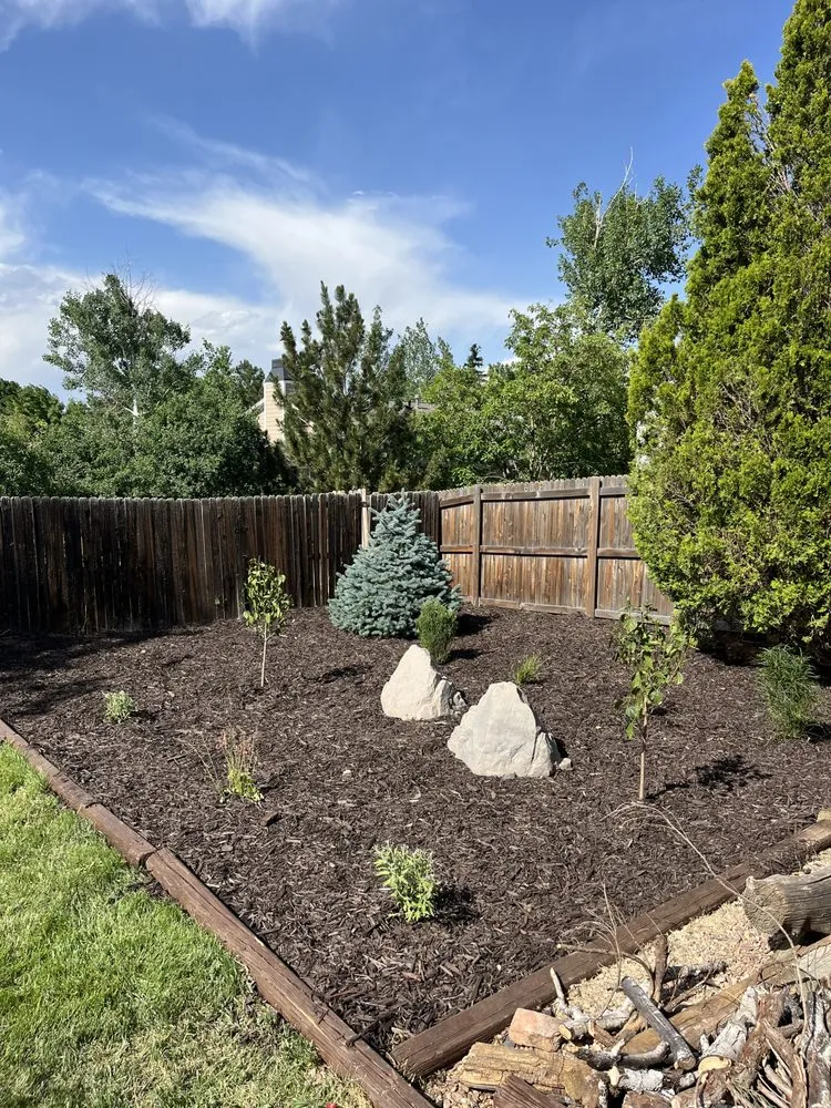 Professional lawn care service in Westminster, CO - Tate Harvey