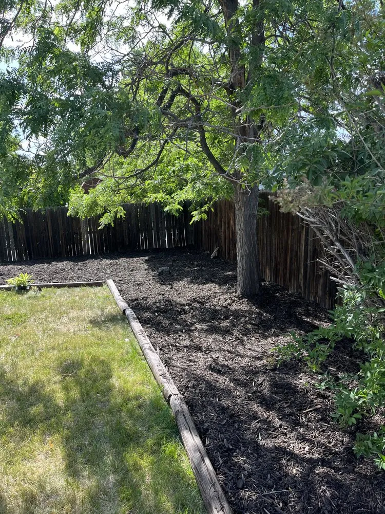 Trusted lawn mowing service for homes across Westminster, CO - Tate Harvey