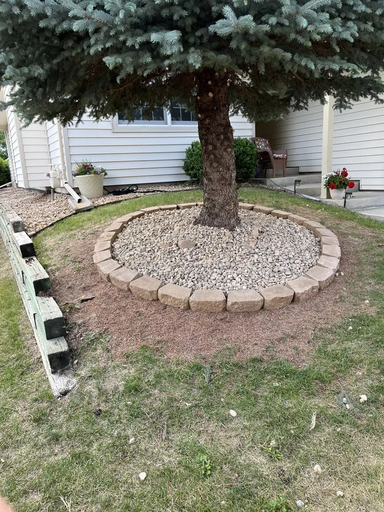 Top-rated lawn mowing service for residential properties in Westminster, CO by Tate Harvey