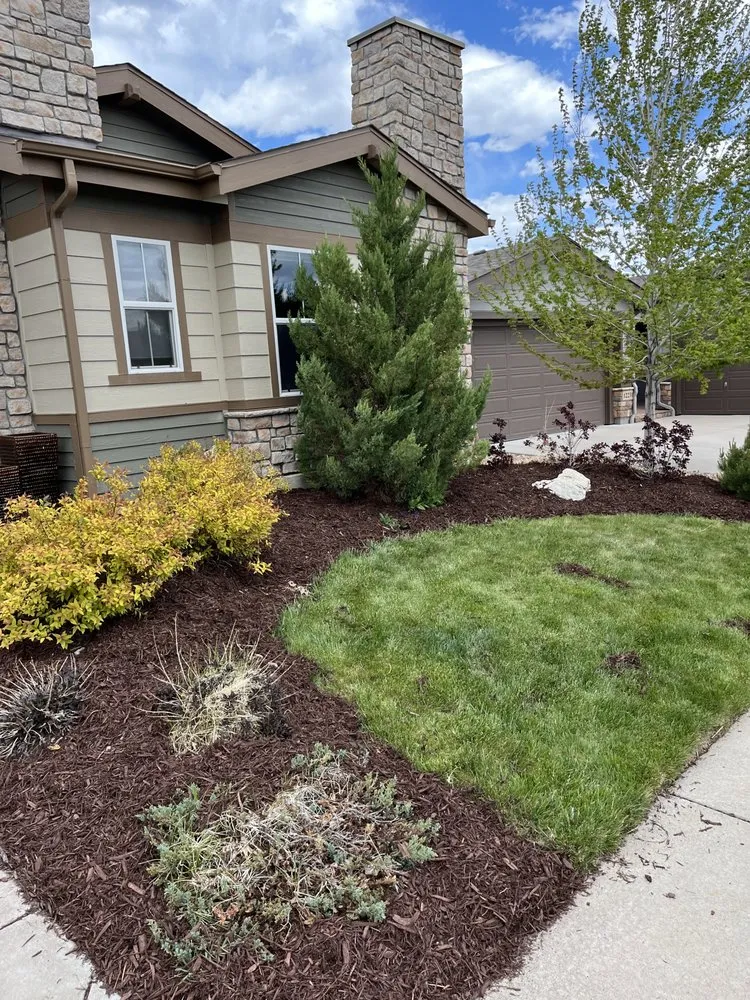 Affordable yard cleanup service in Westminster, CO - Tate Harvey