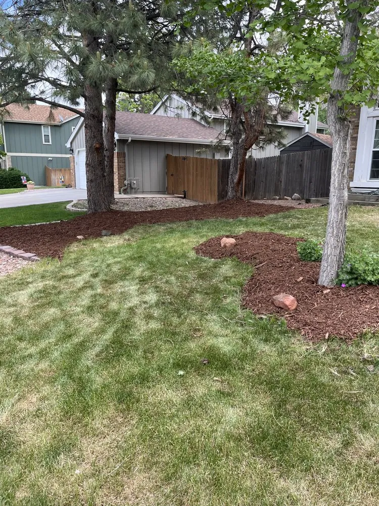 Trusted lawn care service for homes in Westminster, CO by Tate Harvey