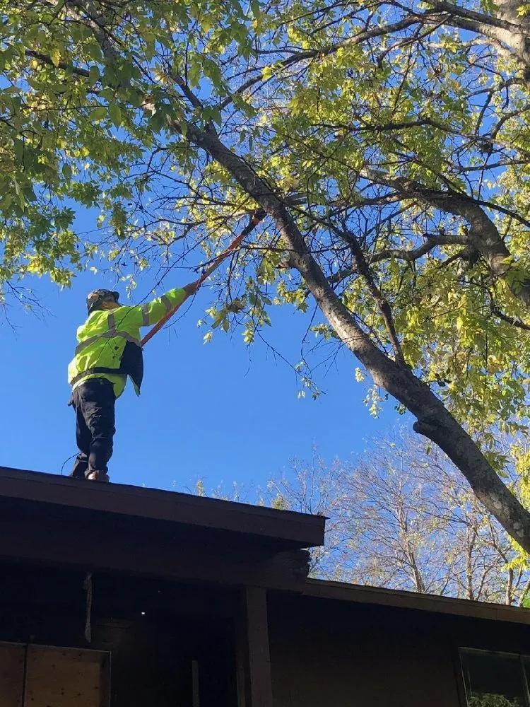 Affordable lawn mowing service in Harker Heights, TX by Tate Scapes Landscaping