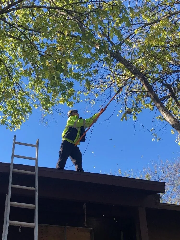 Expert outdoor landscaping in Harker Heights, TX - Tate Scapes Landscaping