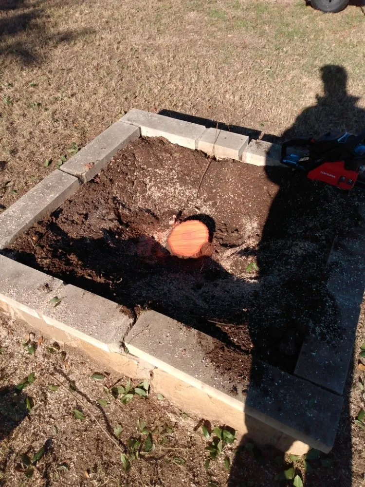 Professional yard cleanup service for homes in Harker Heights, TX by Tate Scapes Landscaping