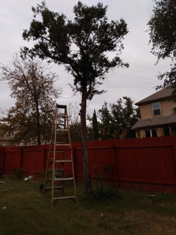 Top-rated yard cleanup service for homes in Harker Heights, TX by Tate Scapes Landscaping