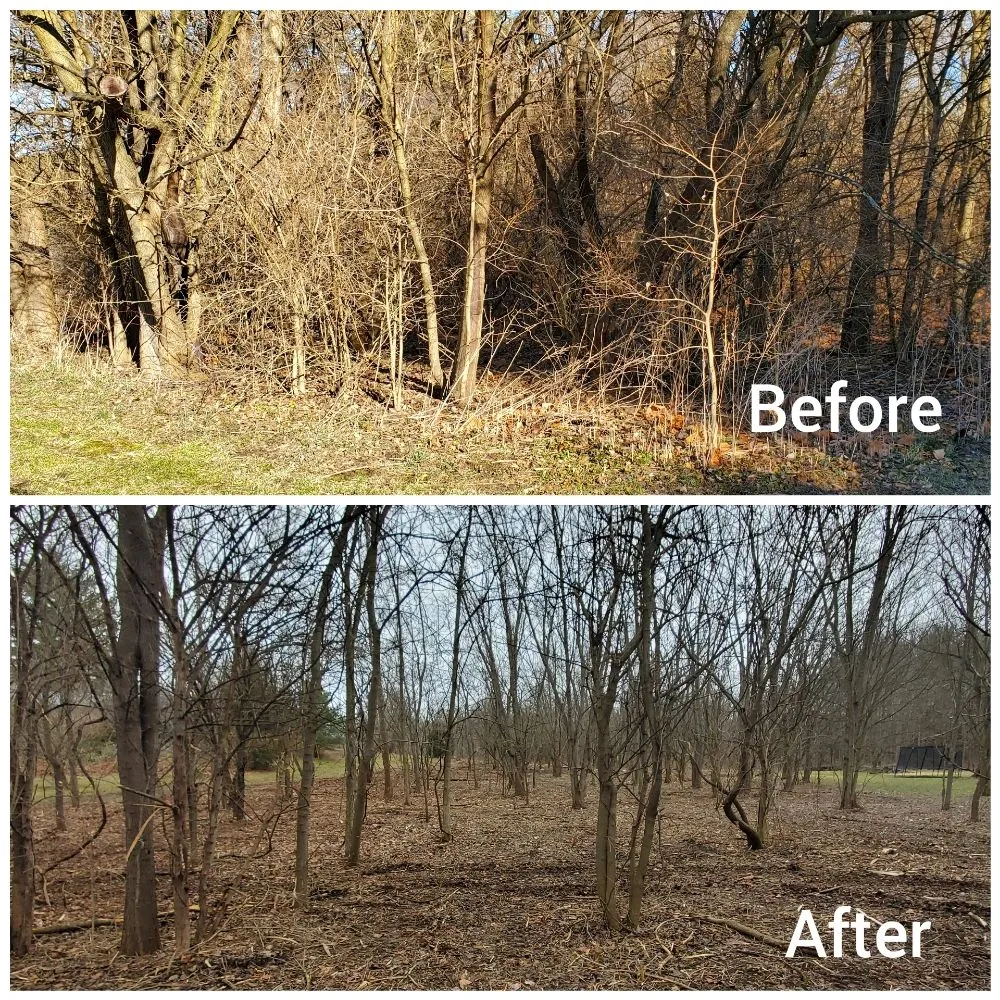 Trusted residential landscaping in West Liberty, OH by Tatem's Land Care