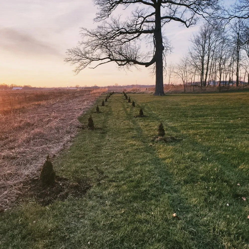 Professional residential landscaping in West Liberty, OH by Tatem's Land Care