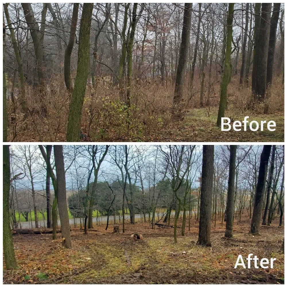 Professional lawn care service experts serving West Liberty, OH - Tatem's Land Care